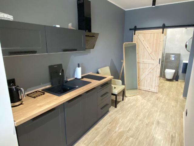 Apartament Pod Swiatynia Wang 카르파츠 외부 사진